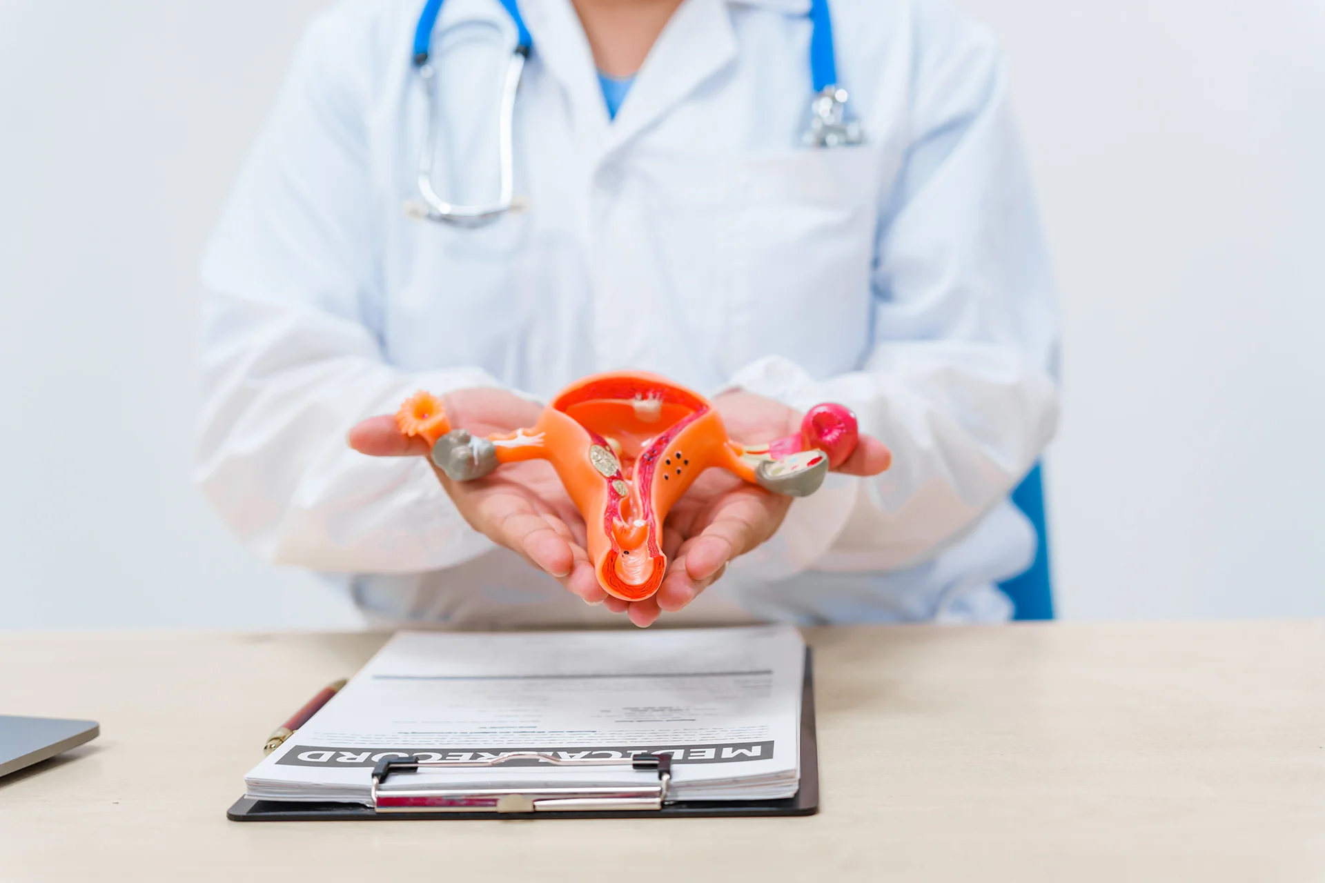 a doctor works at a desk examining a uterus